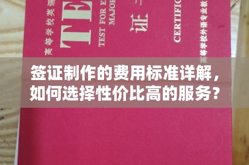 湘东签证制作的费用标准详解，如何选择性价比高的服务？